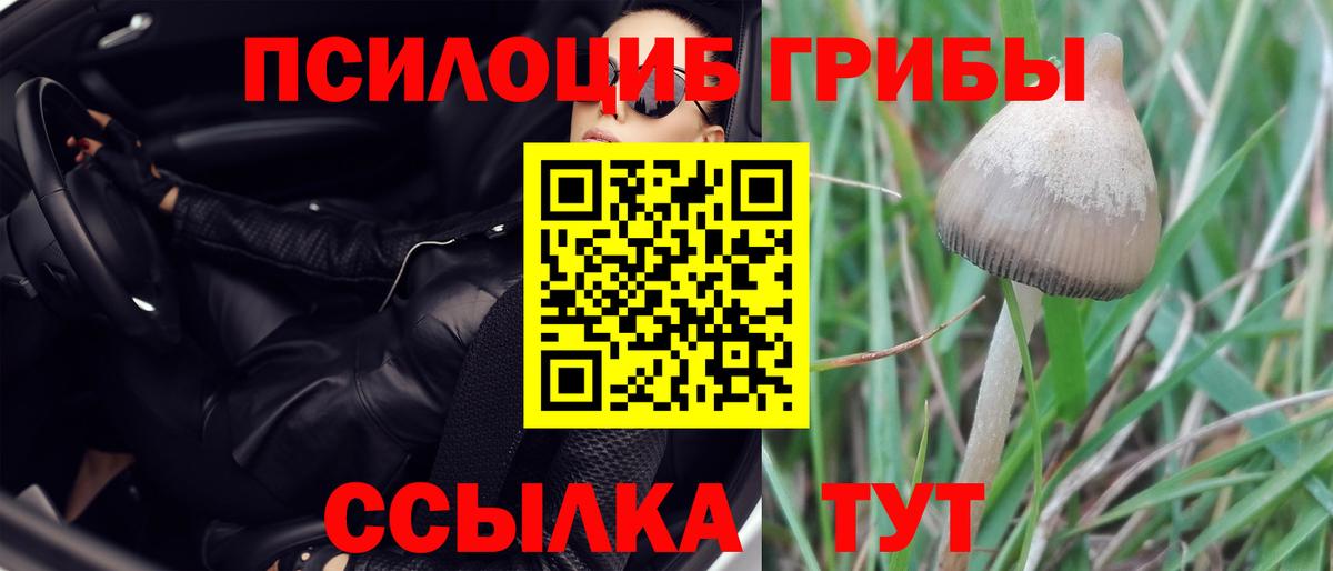 Галлюциногенные грибы мицелий Урюпинск